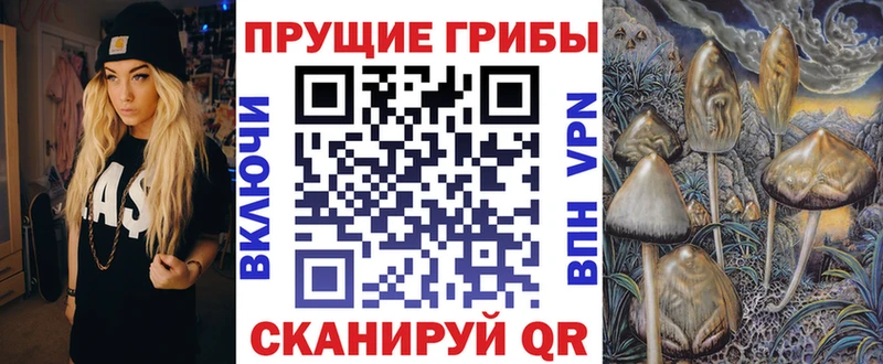 Галлюциногенные грибы прущие грибы  Купить закладки  Балтийск 